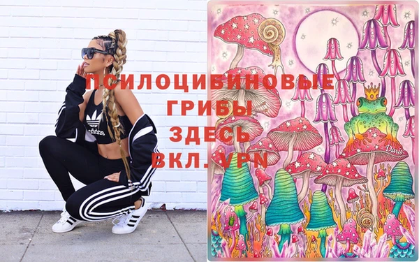 PSILOCYBIN Алексеевка