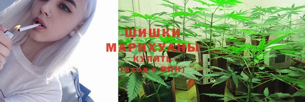 а пвп мука Алзамай