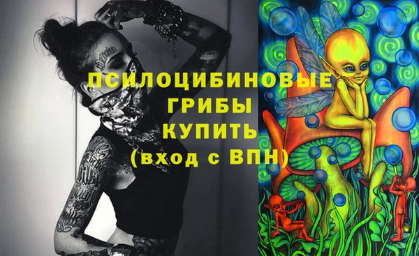 PSILOCYBIN Алексеевка