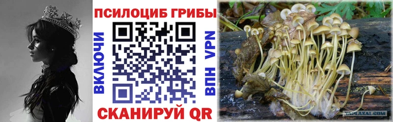 ОМГ ОМГ вход  darknet наркотические препараты  Галлюциногенные грибы прущие грибы  Котово 