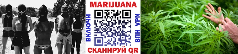 магазин    Котово  Каннабис AK-47 